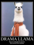 dramallama2.png